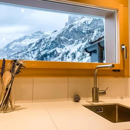 アパート Albina Alpenblick ロイカーバード