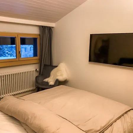 Albina Alpenblick アパート